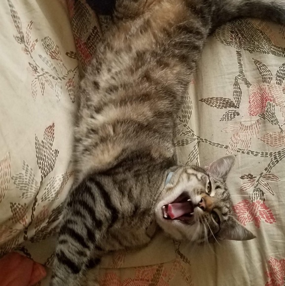 Meet your Posher, Heather - Picture 7 of 8